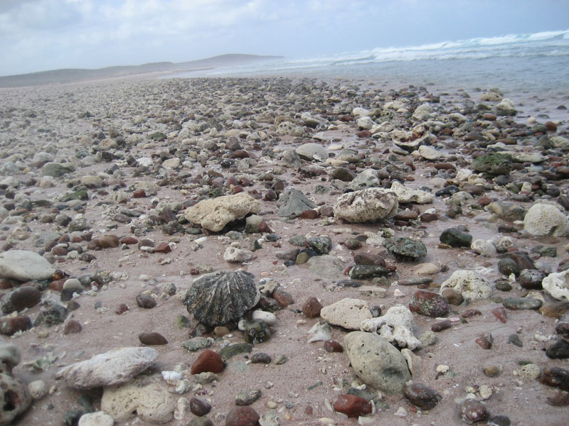 Socotra.......Oman